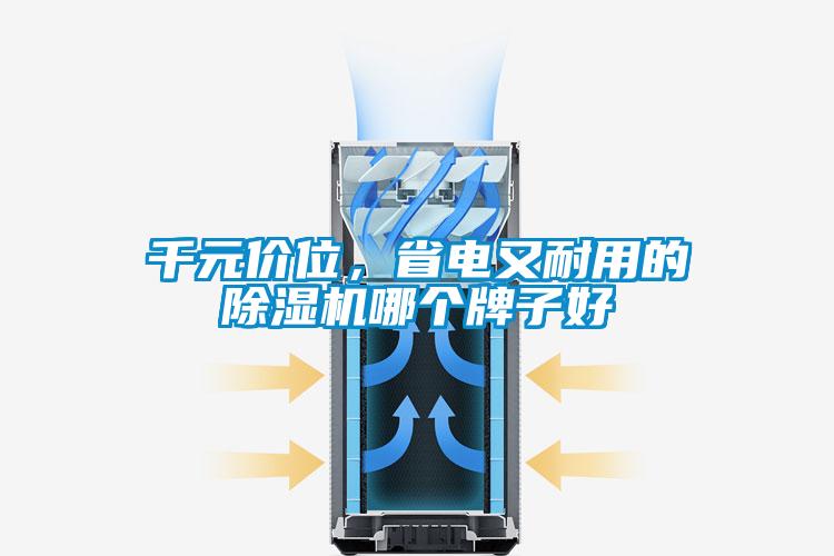 千元價位，省電又耐用的除濕機哪個牌子好