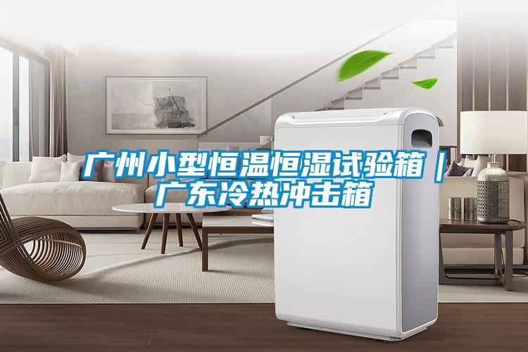 廣州小型恒溫恒濕試驗(yàn)箱|廣東冷熱沖擊箱