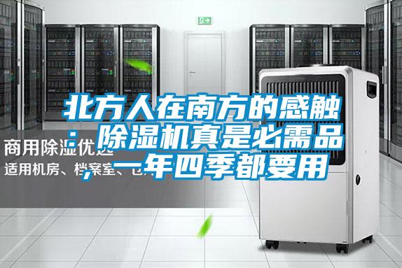 北方人在南方的感觸：除濕機真是必需品，一年四季都要用