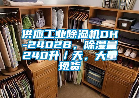 供應工業(yè)除濕機DH-2402B，除濕量240升／天，大量現(xiàn)貨