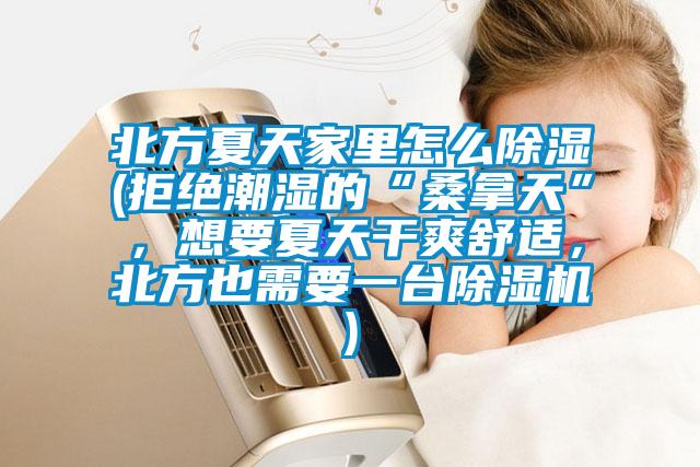 北方夏天家里怎么除濕(拒絕潮濕的“桑拿天”，想要夏天干爽舒適，北方也需要一臺除濕機)