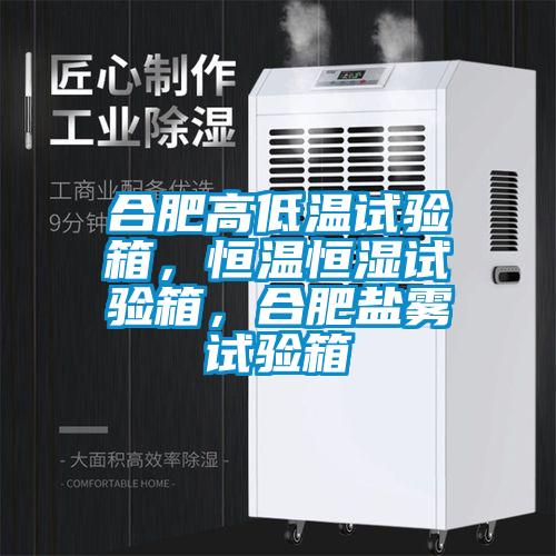 合肥高低溫試驗(yàn)箱，恒溫恒濕試驗(yàn)箱，合肥鹽霧試驗(yàn)箱