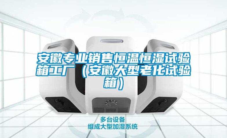 安徽專業(yè)銷售恒溫恒濕試驗箱工廠(安徽大型老化試驗箱)
