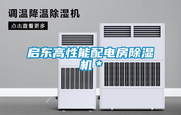 啟東高性能配電房除濕機*