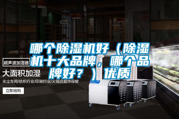 哪個除濕機好(除濕機十大品牌,哪個品牌好?)優質