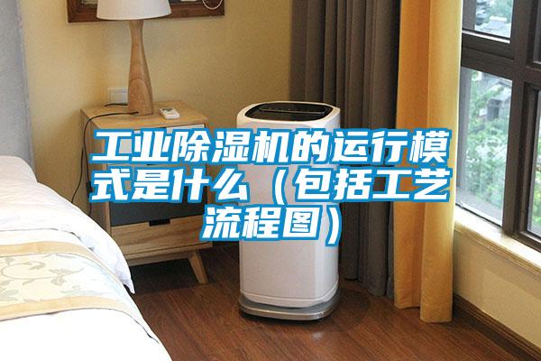 工業除濕機的運行模式是什么（包括工藝流程圖）