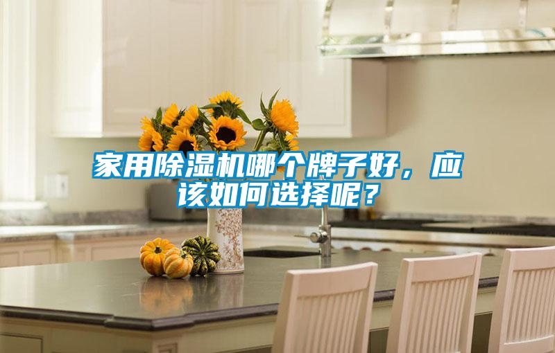 家用除濕機(jī)哪個(gè)牌子好，應(yīng)該如何選擇呢？