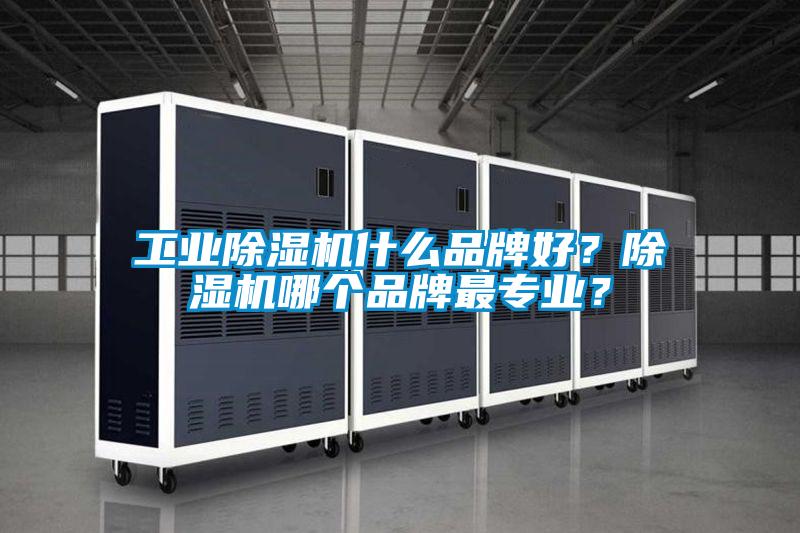 工業(yè)除濕機(jī)什么品牌好?除濕機(jī)哪個(gè)品牌最專業(yè)?