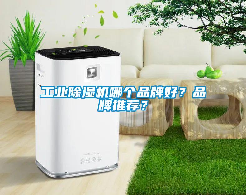 工業(yè)除濕機哪個品牌好？品牌推薦？