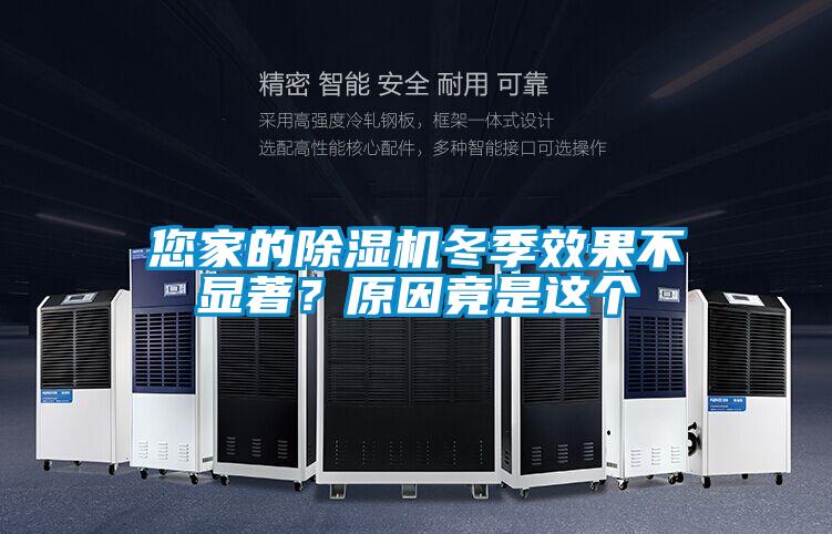 您家的除濕機冬季效果不顯著?原因竟是這個