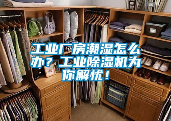 工業(yè)廠房潮濕怎么辦?工業(yè)除濕機(jī)為你解憂!