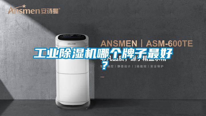 工業(yè)除濕機哪個牌子最好？