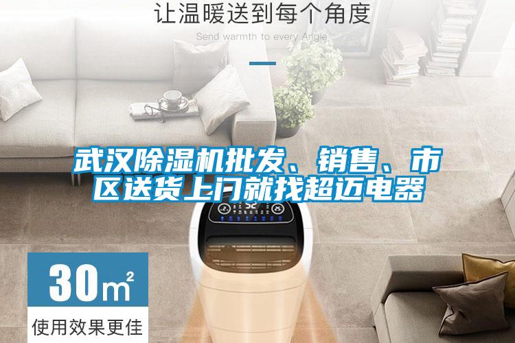 武漢除濕機(jī)批發(fā)、銷(xiāo)售、市區(qū)送貨上門(mén)就找超邁電器