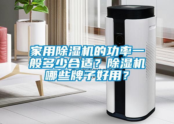 家用除濕機的功率一般多少合適？除濕機哪些牌子好用？