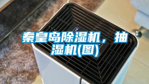 秦皇島除濕機，抽濕機(圖)