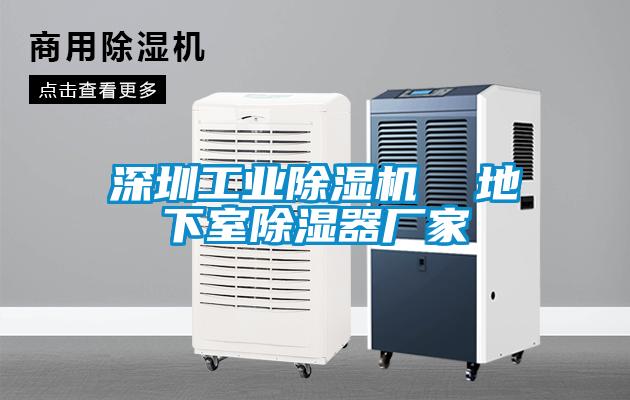 深圳工業除濕機  地下室除濕器廠家