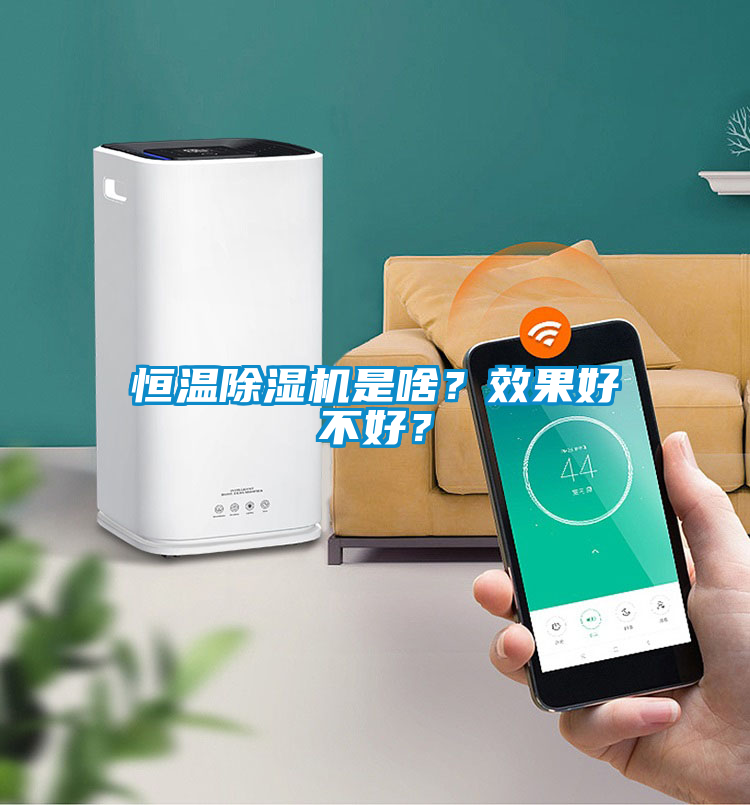恒溫除濕機是啥？效果好不好？