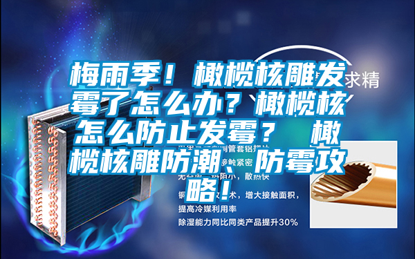 梅雨季！橄欖核雕發霉了怎么辦？橄欖核怎么防止發霉？ 橄欖核雕防潮、防霉攻略！