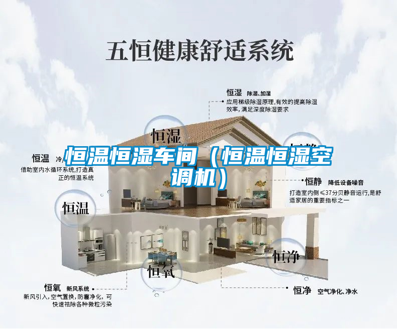 恒溫恒濕車間(恒溫恒濕空調機)