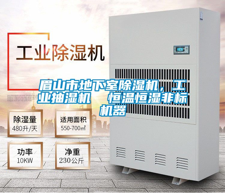 眉山市地下室除濕機，工業(yè)抽濕機  恒溫恒濕非標機器