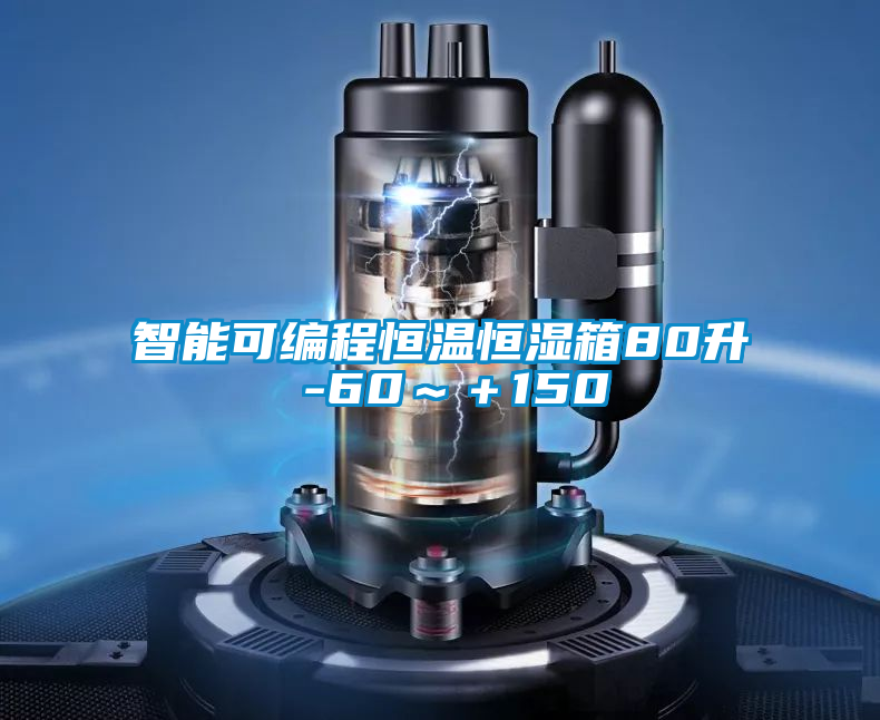 智能可編程恒溫恒濕箱80升 -60~+150℃