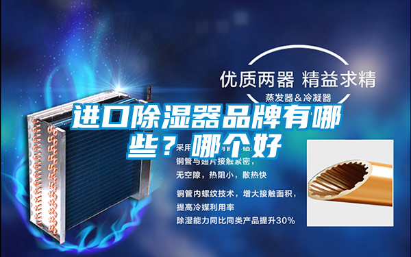 進口除濕器品牌有哪些？哪個好