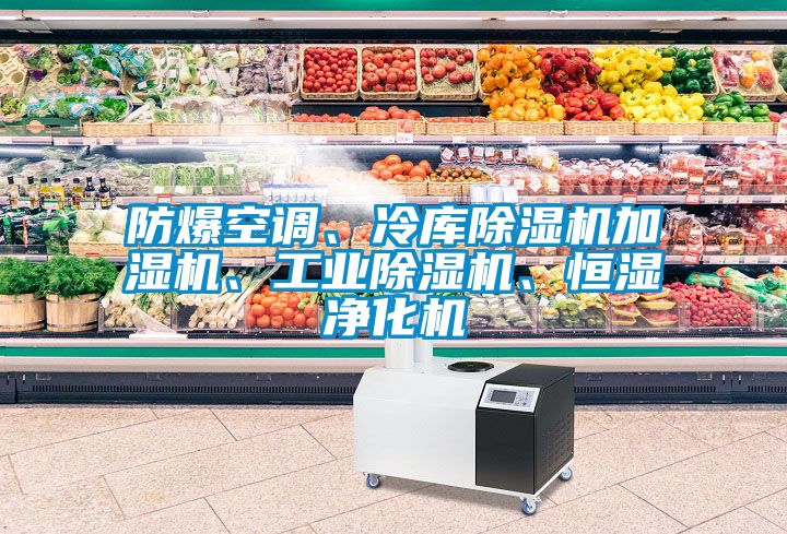 防爆空調(diào)、冷庫(kù)除濕機(jī)加濕機(jī)、工業(yè)除濕機(jī)、恒濕凈化機(jī)