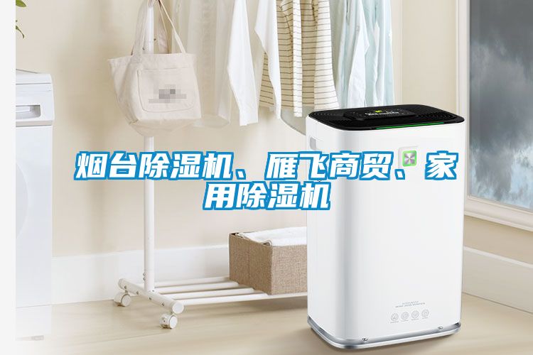 煙臺除濕機、雁飛商貿(mào)、家用除濕機
