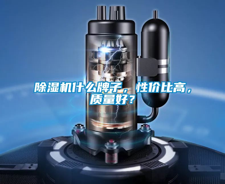 除濕機(jī)什么牌子，性價(jià)比高，質(zhì)量好？