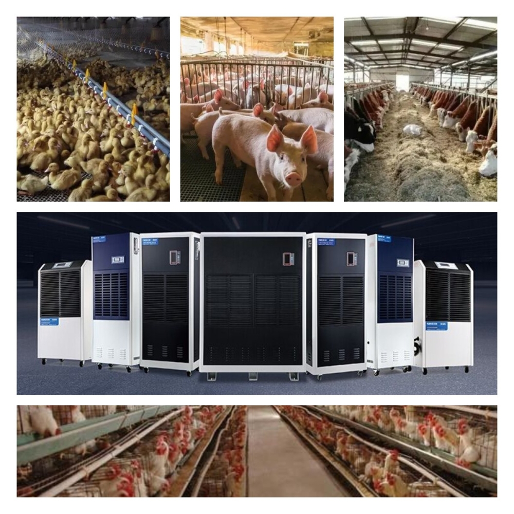 稿定設(shè)計導(dǎo)出-20211215-085453 稿定設(shè)計導(dǎo)出-20211215-085453